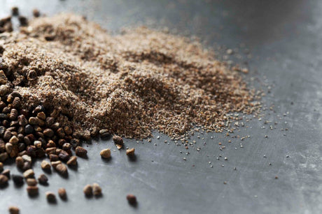 World Spice Cardamom Seed