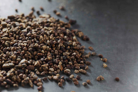World Spice Cardamom Seed