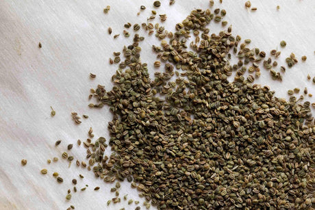 World Spice Celery Seed