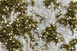 Green Za'atar
