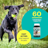 S DGP Chewable - 60 Chewable Tablets 60Chewable Tablets