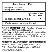 Probiotic Supplement - Gut Health Solution