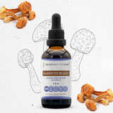 Agaricus Blazei Tincture