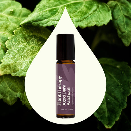 Aged Dark Patchouli Essential Oil Pre-Diluted Roll-On 10 ml