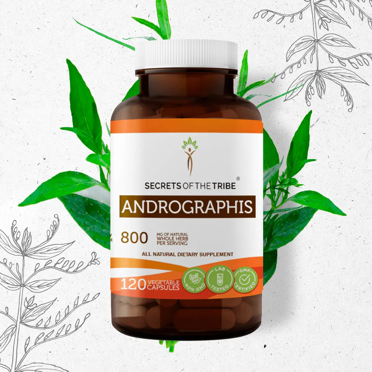 Andrographis Capsules