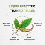 Andrographis Tincture