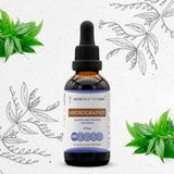 Andrographis Tincture