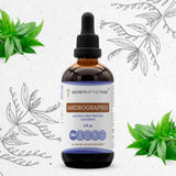 Andrographis Tincture