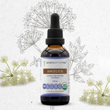 Angelica Tincture