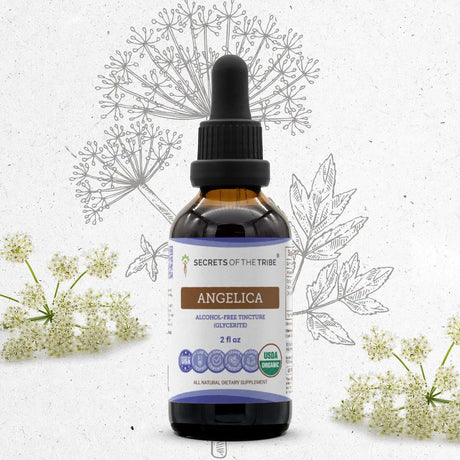 Secrets of the Tribe Angelica Tincture