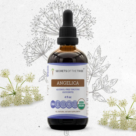 Secrets of the Tribe Angelica Tincture