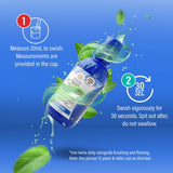 Healthy Gums Oral Rinse, Wild Mint