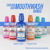 Healthy Gums Oral Rinse, Wild Mint