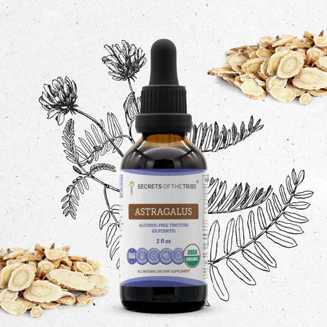 Secrets of the Tribe Astragalus Tincture