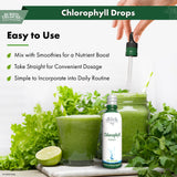 Buried Treasure Liquid Nutrients Chlorophyll Drops, 50 mg per Serving, 2 oz (30 Servings)