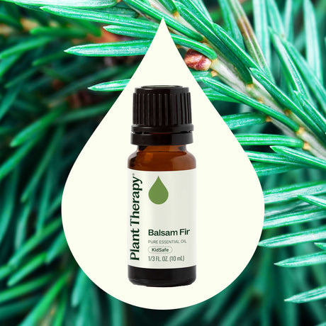 Balsam Fir Essential Oil