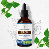 Birch Tincture