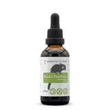 Bird's Feathers - Healthy Feathers Support in Birds