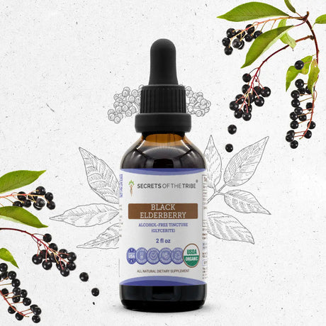 Secrets of the Tribe Black Elderberry Tincture