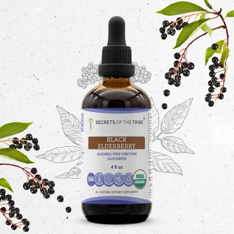 Secrets of the Tribe Black Elderberry Tincture