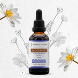 Bloodroot Tincture