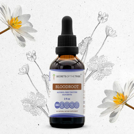 Secrets of the Tribe Bloodroot Tincture
