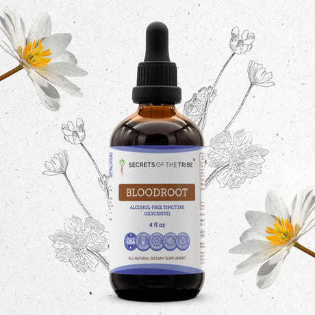 Secrets of the Tribe Bloodroot Tincture