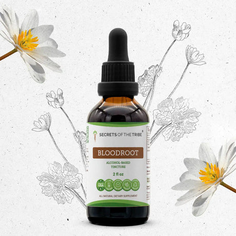 Secrets of the Tribe Bloodroot Tincture