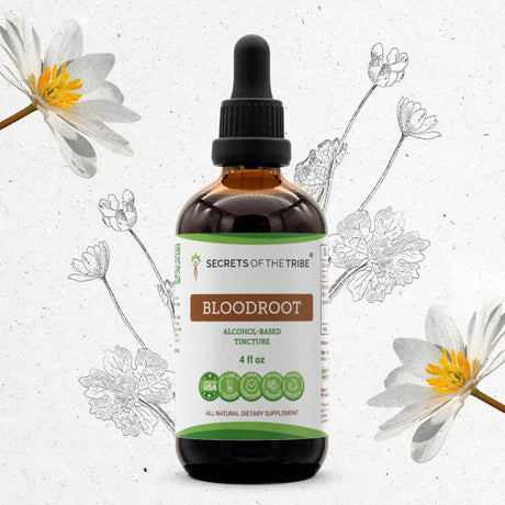 Secrets of the Tribe Bloodroot Tincture