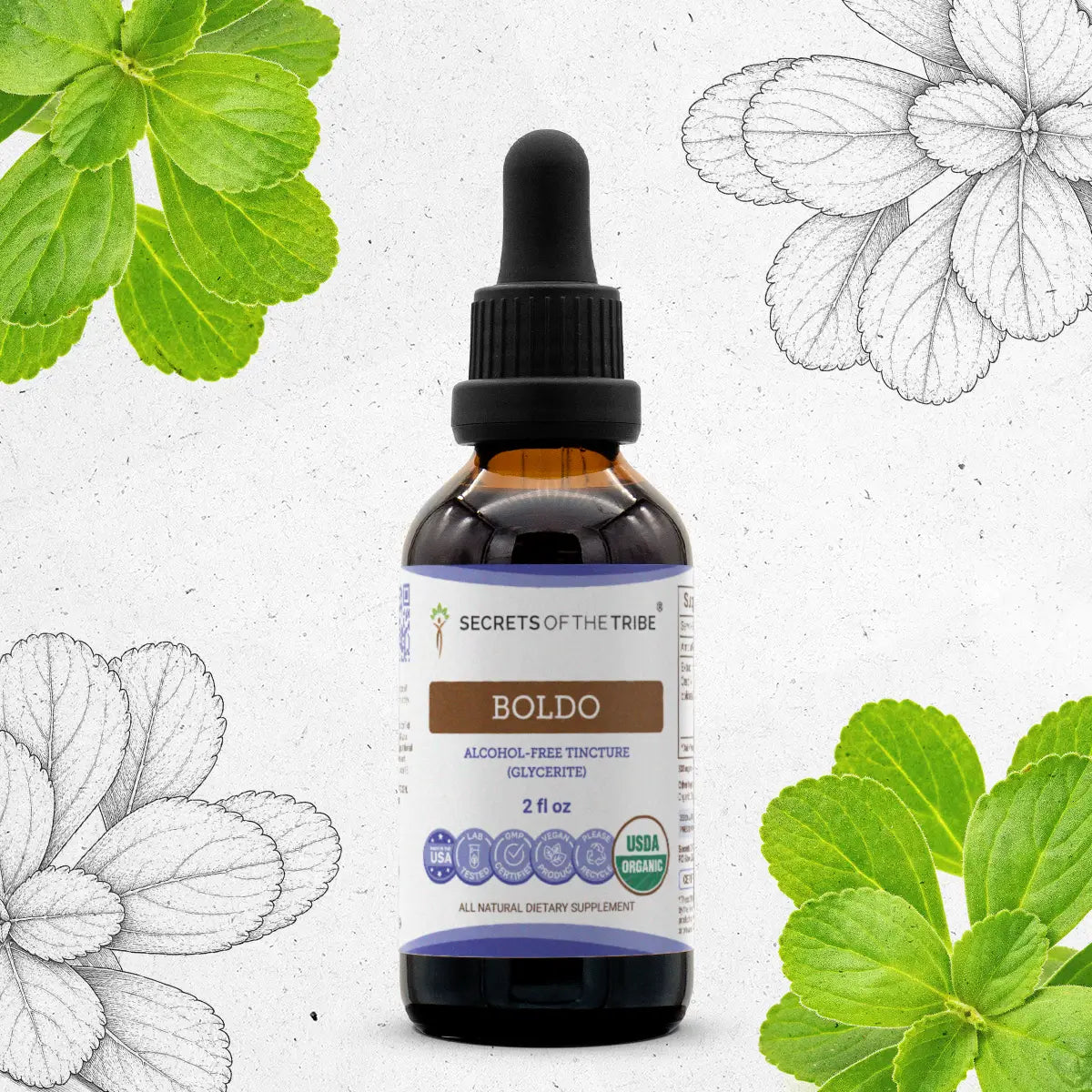 Boldo Tincture