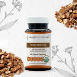 Secrets of the Tribe Bupleurum Capsules