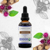 Burdock Tincture