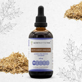 Butcher's Broom Tincture