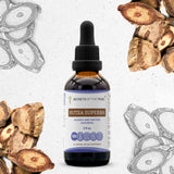 Butea Superba Tincture