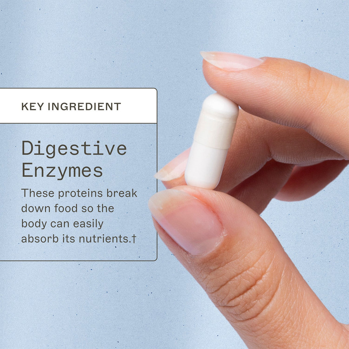 Candifense® - Candida Overgrowth Supplement