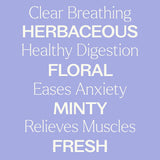 Catnip Essential Oil