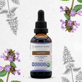 Catnip Tincture