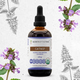 Catnip Tincture