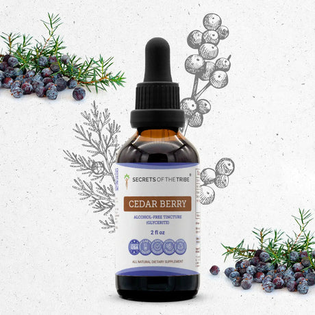Secrets of the Tribe Cedar Berry Tincture