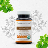 Chickweed Capsules