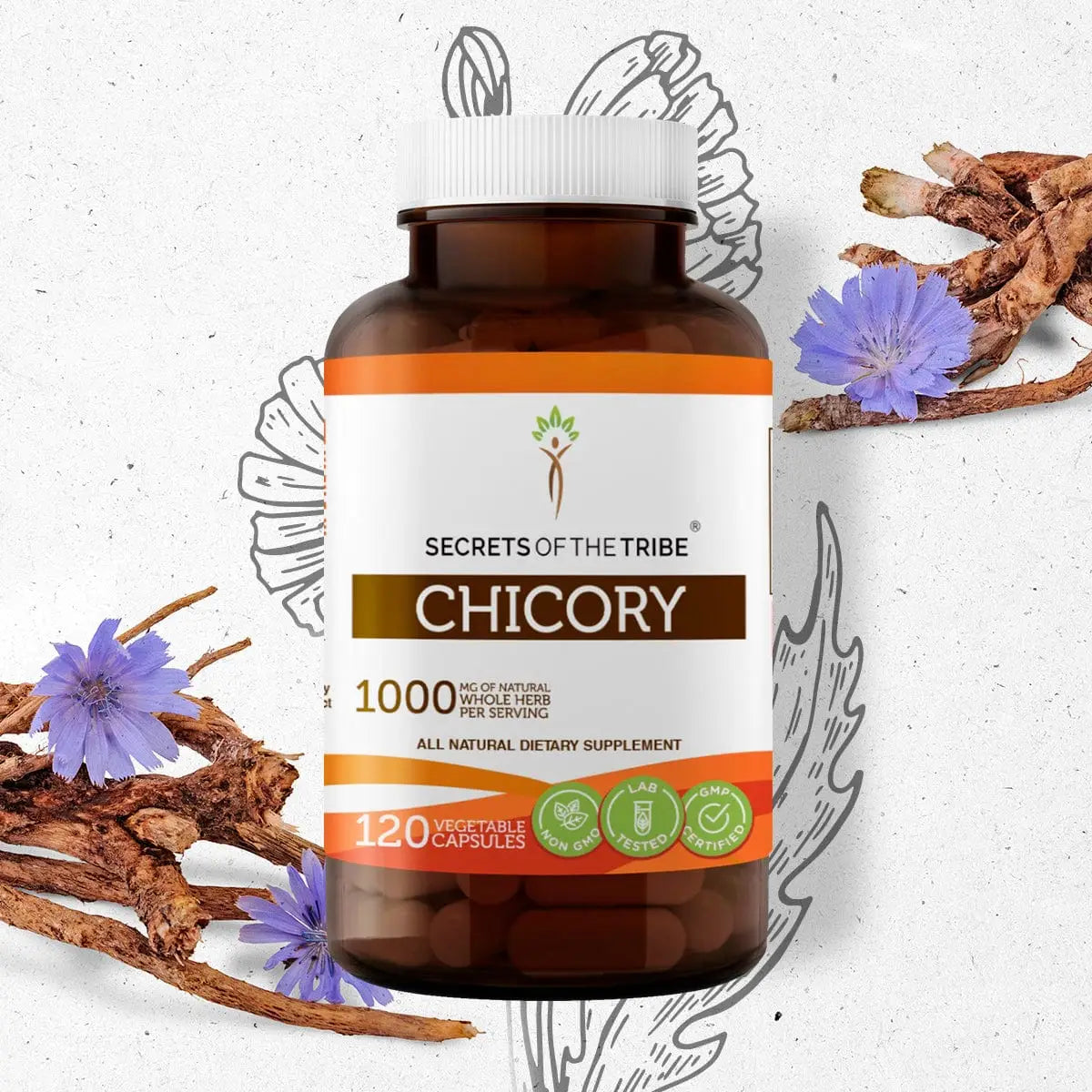 Chicory Capsules