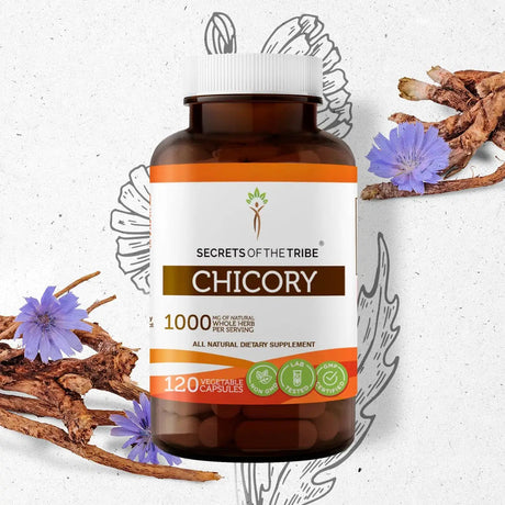 Secrets of the Tribe Chicory Capsules