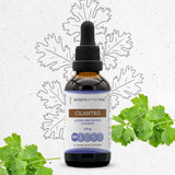 Cilantro Tincture