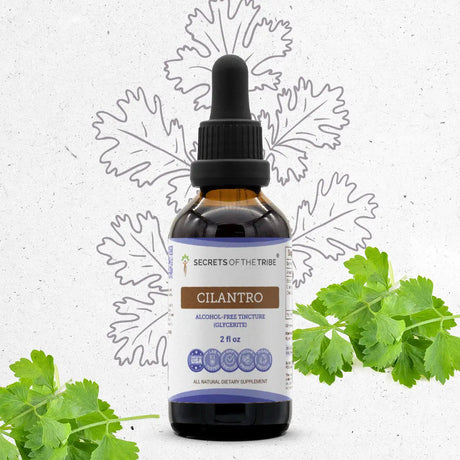 Secrets of the Tribe Cilantro Tincture