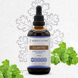 Cilantro Tincture