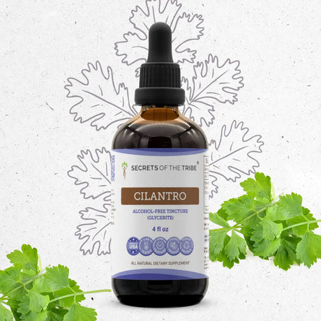Secrets of the Tribe Cilantro Tincture