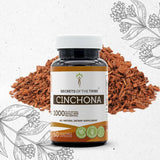 Secrets of the Tribe Cinchona Capsules