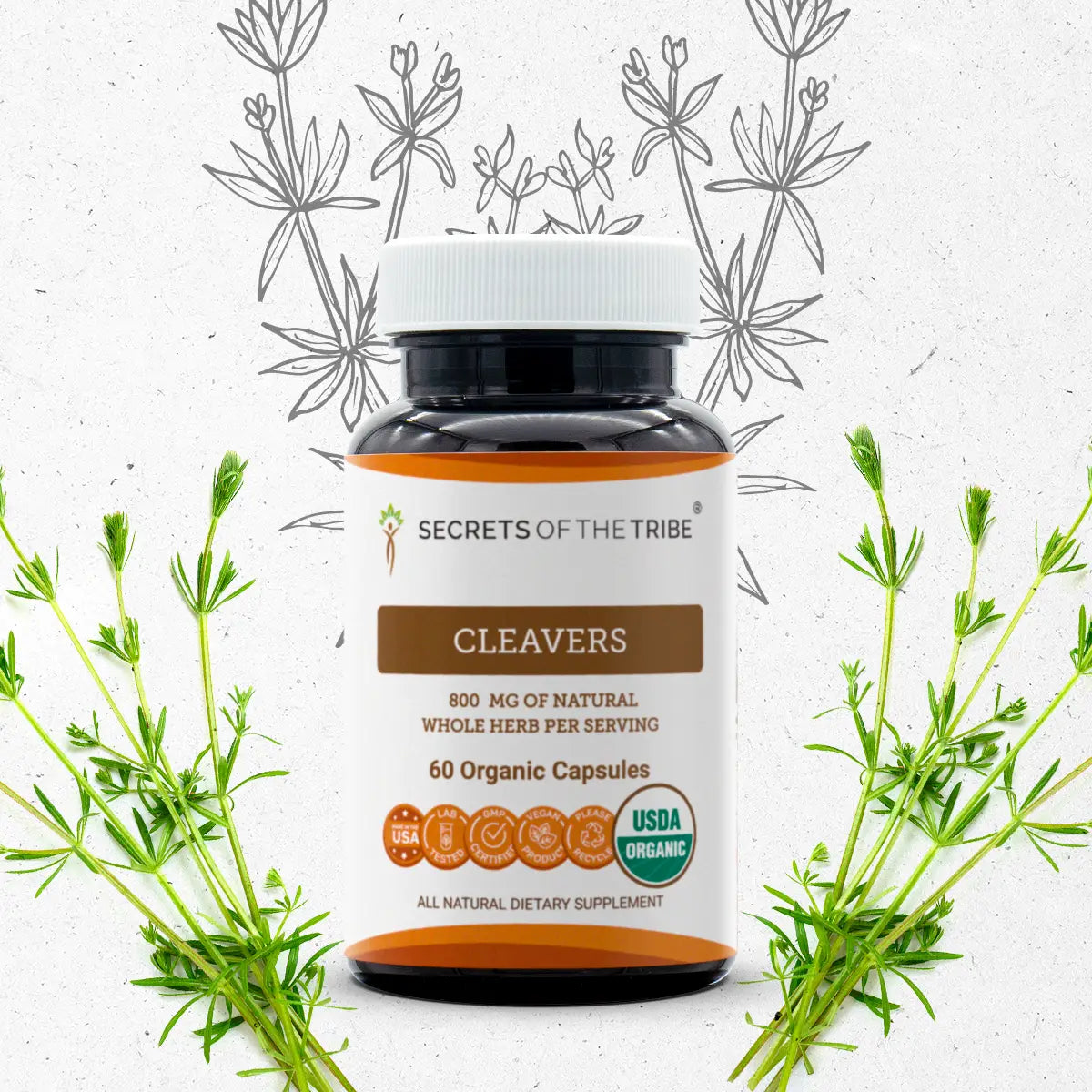 Cleavers Capsules