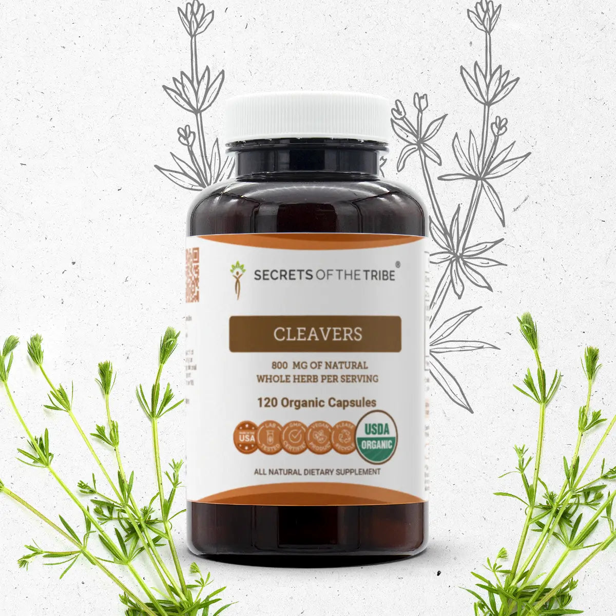 Cleavers Capsules