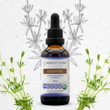Cleavers Tincture